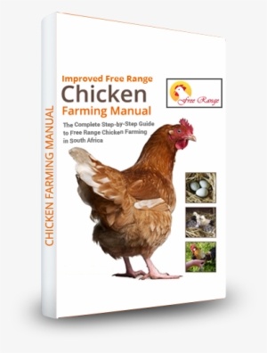 Broiler Chicken Production Business Plan - Chicken Manual: The Complete Step-by-step Guide To
