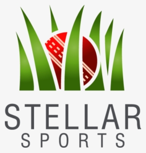 Stellar Sports Ltd - Diversity Celebration