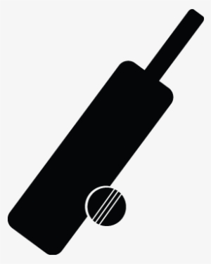 Cricket Accessories - Cricket