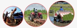Indian Agriculture, The Second Largest In Terms Of - Tractor