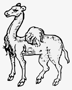 Camel Statant - Camel Heraldry