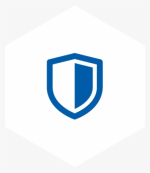 Mitigate Risk - Icon