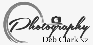 Photography Logo Png Download Transparent Photography Logo Png Images For Free Nicepng