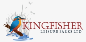 kingfisher-logo - piciformes