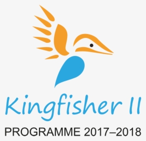 The Kingfisher Ii Programme - Duck