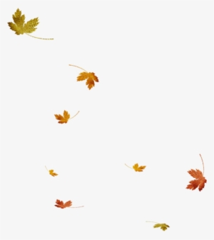 Falling Leaf Png File - Leaf
