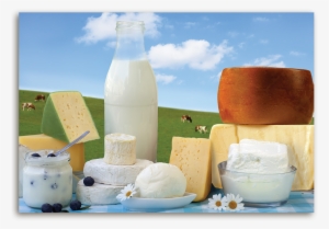 Milk, Cheese, Yogurt, And Ice Cream Are All Part Of - Future Of Food Business, The By Marcos Fava Neves