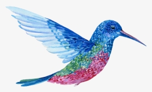 Hand Painted A Flying Colorful Bird Png Transparent - Bird