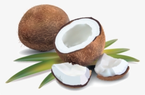 Coconut Cream & Pandan Leaves - Coconut With Pandan Leaf
