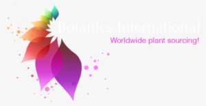 Botanics International - Graphic Design