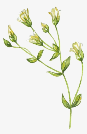 H402 - Blumenfeld-blumenstrauß Rechteckiger Aufkleber