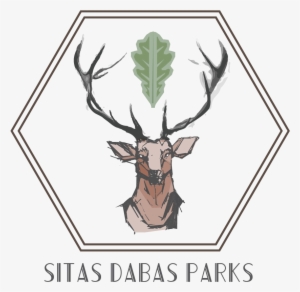 Deer Logo Design For Inspiration - Design