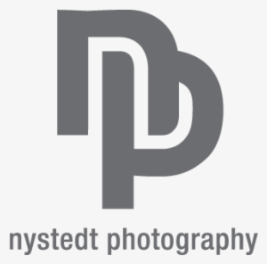 Logo Concepts - Np Logo Design