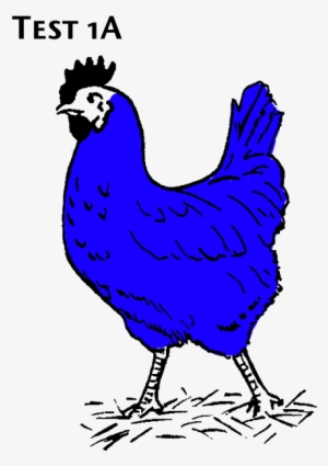 Bluechicken - Clip Art Black And White Chicken