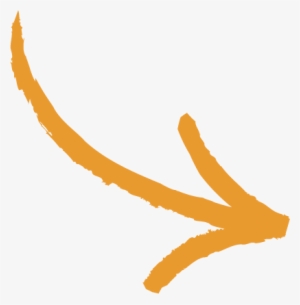 Education And Raising Awareness, The Key For Our Nature's - Orange Arrow Png Transparent
