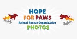 Photos From Hope For Paws And Eldad Hager - Graphic Design