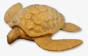 Turtle, Adult - Urn