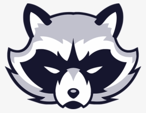 Animal Face Logo Raccoon Vicious Wild Logo - Racoon Vector