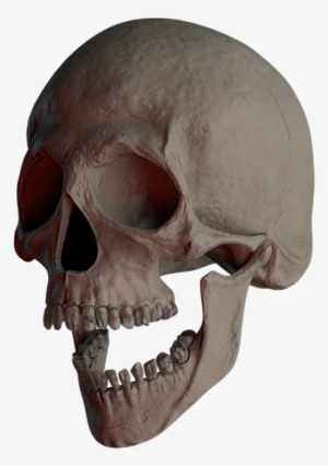 Skull, Skull And Crossbones, Bone, Creepy, Weird, Death - Bone