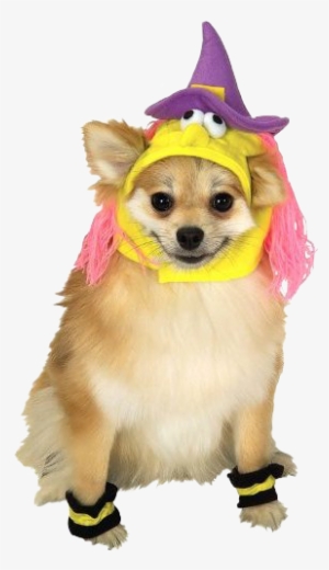 Rubies Princess Pet Costume - X-large