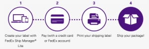 Access Fedex Ship Manager Lite - Fedex Delivery Steps