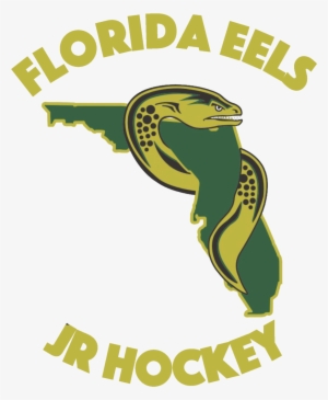 Not Like Theyve Stopped The Florida Eels Or Bangkok - Florida Eels Logo