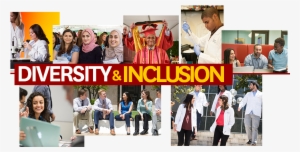 The Usc School Of Pharmacy Is Located In The Heart - Diversity Collage
