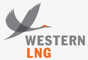Western Lng Project - Graphic Design