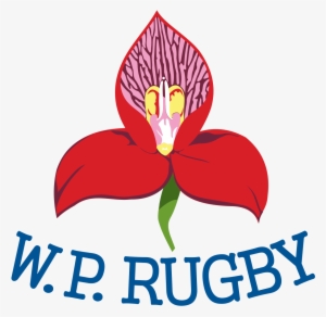 Download - Western Province Rugby Union