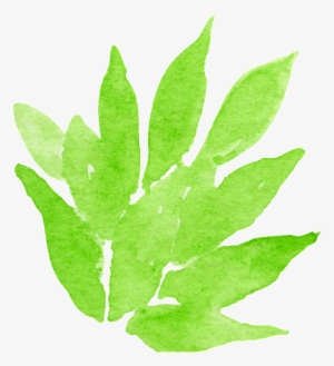 Dense Leaf Transparent Decorative - Watercolor Painting