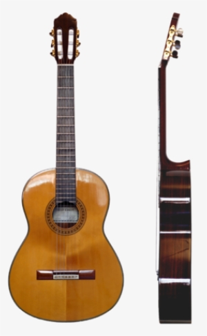 The Vinaccia Family Baroque Guitars From The Museum - Classical Guitar