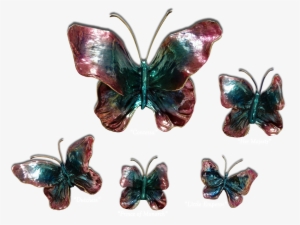 Ron & Sheila Ruiz Indigo Butterfly Exposures International - Exposures International Gallery