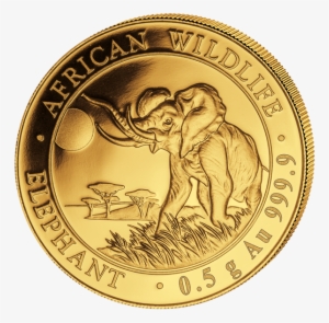 2016 20 sh 1/50 oz - gold somalian elephant 2018