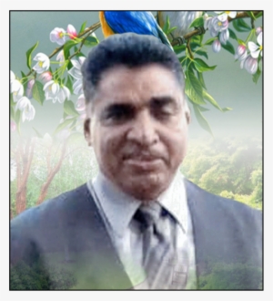 obituary of vishnu narine - beautiful songbirds bluebirds 10cm round absorbent