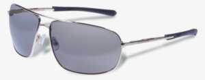 protection - gargoyle aviator sunglasses