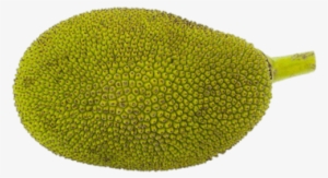 Similar Tropical Fruit Png Clipart Ready For Download - Jackfruit