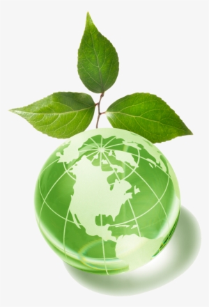 Globe With Green Leaf