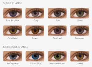 Colour Palette - Dailies Contact Lenses Colors