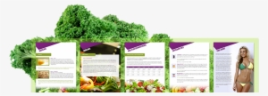 Eating-plan