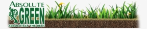Envisioned Logo - Spotted Spurge