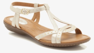 Banner Library Stock Sandal Lady Free On Dumielauxepices - Shoe