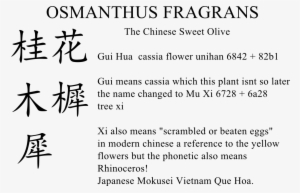 Osmathus Saga - Chinese Character For Flower