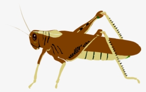 Cricket Clipart Locust - Ant And The Grasshopper Img