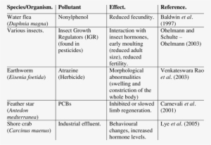 -examples Of Effects Of Edcs On Invertebrates - Invertebrate