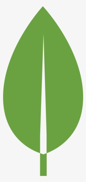 All - Leaf Flat Design Png