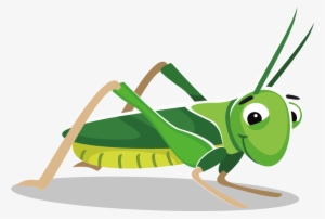 Grasshopper At Getdrawings Com Free For Personal - Grasshopper Png