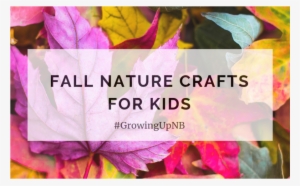 Fall Nature Crafts For Kids