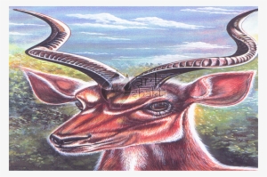 Antelope Watercolour Painting - Impala