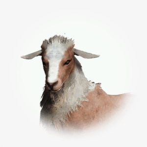 Icon - Portable Network Graphics