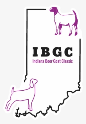 Indiana Boer Goat Classic - Goat
